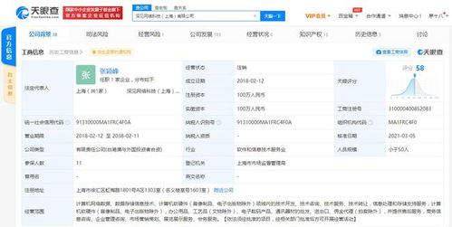 深見網(wǎng)絡(luò)科技注銷，金拱門中國為大股東引發(fā)行業(yè)關(guān)注