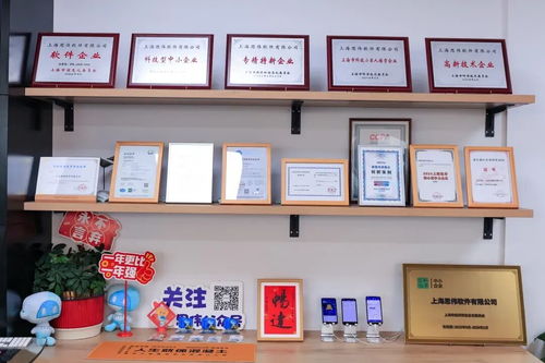 創新發展看楊浦 思偉軟件深耕工業軟件，讓每方混凝土都閃耀科技之光