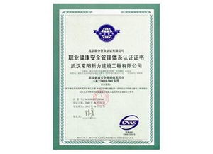 匠心筑就城市未來——武漢常陽新力建設工程圖冊賞析